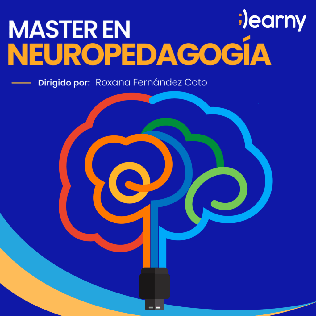 Máster en Neuropedagogía en línea, dirigido por Roxana Fernández Coto. Gráfico cerebral con conexión USB.